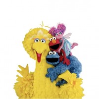 The Sesame Street Cast
