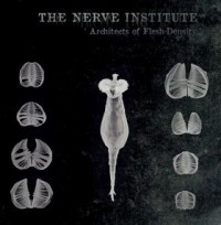 The Nerve Institute