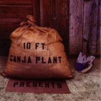 10 Ft. Ganja Plant