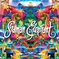 Shaman Elephant