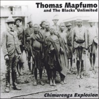 Thomas Mapfumo & the Blacks Unlimited