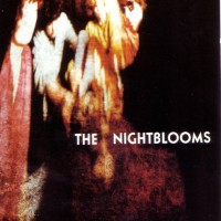 The Night Blooms