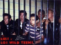 Lil Luis Y Los Wild Teens