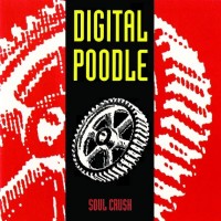 Digital Poodle