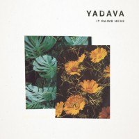 Yadava