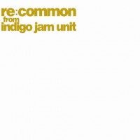 Indigo Jam Unit
