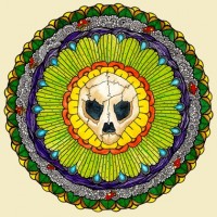 Turtle Skull