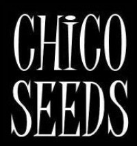 Chico Seeds