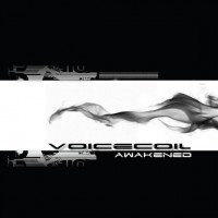 Voicecoil