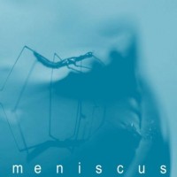 Meniscus