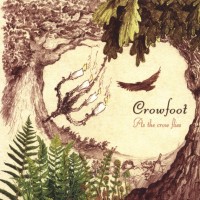 Crowfoot