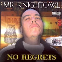 Mr. Knightowl