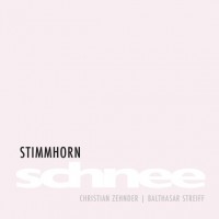 Stimmhorn