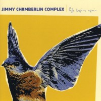 Jimmy Chamberlin Complex