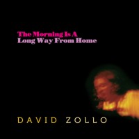 David Zollo & The Body Electric