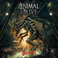 Animal Drive