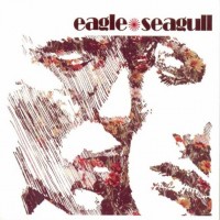 Eagle Seagull