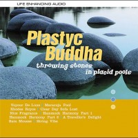 Plastyc Buddha