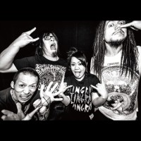 Maximum the Hormone