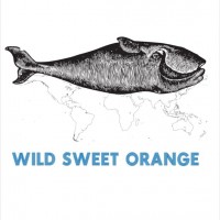 Wild Sweet Orange