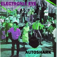 Electronic Eye
