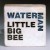 Buy Little Big Bee Mp3 Download