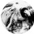Buy Dead Flowers Mp3 Download