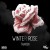Buy Winter Rose Mp3 Download