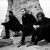 Buy The Moth & The Flame Mp3 Download