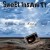 Buy Sweet Insanity Mp3 Download
