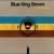 Buy Blue King Brown Mp3 Download