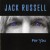 Buy Jack Russell Mp3 Download